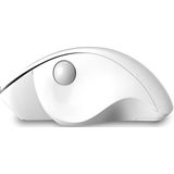 Qware - Luton - Draadloze Muis - Wit - Ergonomisch Ontwerp - 1600 DPI