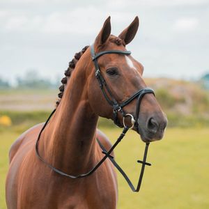 HORKA HOOFDSTEL KAPITANO FULL ZWART/ZILVER