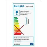 Philips Twirly plafonnière - grijs - klein - warmwit licht - 12 W
