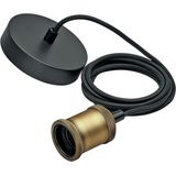 Philips Pendel Goud