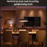 Philips Hue Enrave hanglamp - warm tot koelwit licht - zwart - 1 dimmer switch