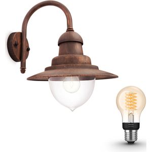 Philips Hue Raindrop Wandlamp voor Buiten (Koper) - Buitenlamp - E27 - Warmwit Licht - Hue White Filament