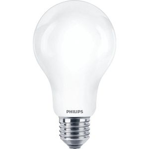 6x Philips LED lamp E27 | Peer A67 | Mat | 4000K | 13W (120W)