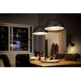 Philips - LED 20W G4 - Warmwitte Lamp - 12V - Energiebesparend