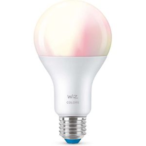 WiZ Lamp Slimme LED Verlichting - Gekleurd en Wit Licht - E27 - 100W - Mat - WiFi