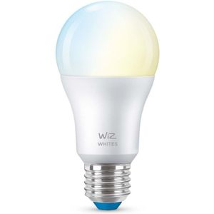 WiZ Lamp A60 E27 ledlamp Wifi + Bluetooth protocol
