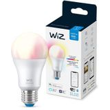 WiZ - Slimme LED Lamp - Gekleurd en Wit Licht - E27 Fitting - Mat