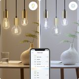 WiZ Filament lamp - Slimme LED-lamp - Warm- tot koelwit licht - E27-60 W - Transparant - Verbind met Wi-Fi - Gemakkelijk te bedienen