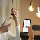 WiZ - Filament Lamp - Slimme LED Verlichting - Warm- tot Koelwit Licht - E27 Fitting - Transparant