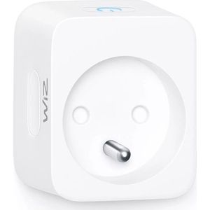 WiZ Slimme stekker Slimme verlichting Accessoire - Type E - WiFi
