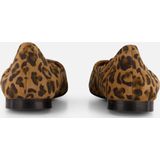 Linea Zeta - Leopard Ballerina's - Bruin - Leer