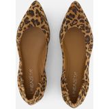 Linea Zeta - Leopard Ballerina's - Bruin - Leer