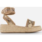 Cellini - Espadrilles - Bruin - Textiel - Synthetische Voering - Gespsluiting