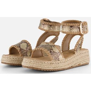 Cellini - Espadrilles - Bruin - Textiel - Synthetische Voering - Gespsluiting