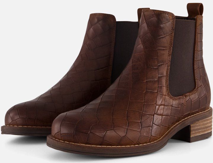 Cellini - Chelsea Boots - Bruin - Nubuck
