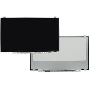 17.3 inch LCD Scherm - Mat - 1920x1080 - 40Pin eDP - IPS - 120Hz