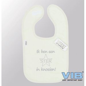 VIB® - Slabbetje Luxe velours - Ik ben een STER in Knoeien! (Mint) - Babykleertjes - Slabbetjes - zwangerschap aankondiging - baby aankondiging