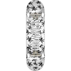 Compleet Skateboard Springwood Palms Black White 8.125
