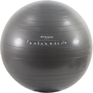 Stanno exercise ball in de kleur zilver.