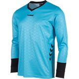 hummel Hannover Keeper Sportshirt Kids8