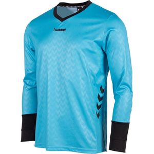 hummel Hannover Keeper Sportshirt Kids8