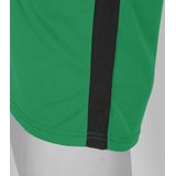 Stanno - Pride Shirt - Groen - Sportshirt - ClimaTec Finish - Ventilerende Meshstructuur