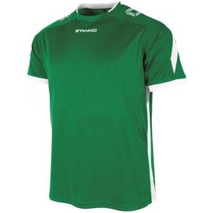 Stanno - Match Shirt - Sportshirt - Groen - 100% Polyester - Ventilerend
