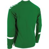 Hummel Fyn Voetbalshirt Lange Mouw Heren - Groen Wit