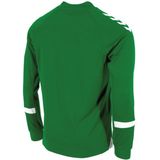 Hummel Fyn Voetbalshirt Lange Mouw Heren - Groen Wit