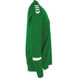 Hummel Fyn Voetbalshirt Lange Mouw Heren - Groen Wit