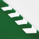 Hummel Fyn Voetbalshirt Lange Mouw Heren - Groen Wit