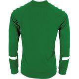 Hummel Fyn Voetbalshirt Lange Mouw Heren - Groen Wit