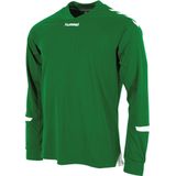 Hummel Fyn Voetbalshirt Lange Mouw Heren - Groen Wit