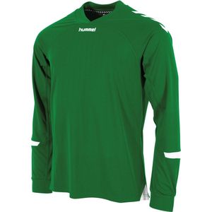 Hummel Fyn Voetbalshirt Lange Mouw Heren - Groen Wit
