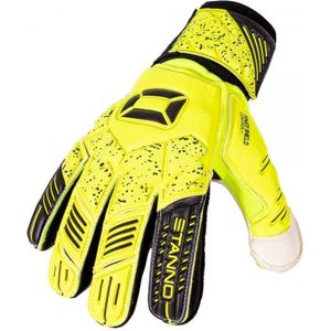 Power Shield IV