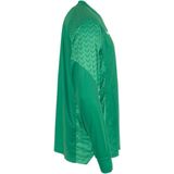 Hummel Orlando Keepershirt Lange Mouw Heren - Groen
