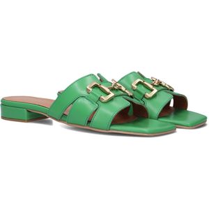 Notre-V - 06 6403 Slippers - Dames - Groen - Gladleer