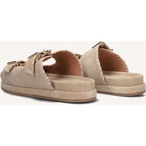 BLASZ - Lpmag-40 - Slippers - Bruin