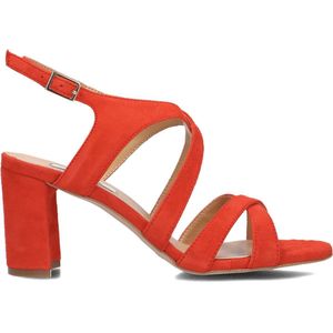 Notre-v - Sandalen - Rood - Leer - Gesp Sluiting - Ronde Neus - Blokhak