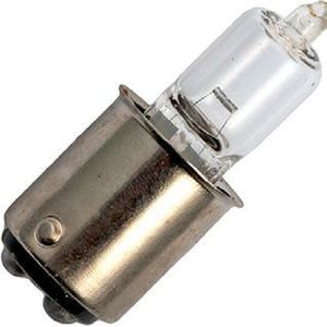 Schiefer Ba15d Voertuiglamp Halogeenlamp 12V - 10W 120lm - T15x40 - Dimbaar - Helder