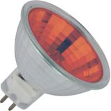 Schiefer GU5,3 MR16 Halogeen Spot | 50W 12V Rood 38° Ø50mm | Dimbaar