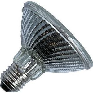 Schiefer - Halogeen PAR30 Reflectorlamp - Wit - E27 - 100W - 2750K