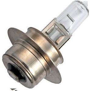 Schiefer Voertuiglamp | Halo P22S 36x51 12V 55W C-6 2K uur Helder