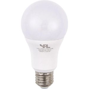 SPL | LED Lamp | Grote fitting E27  | 14W Dimbaar
