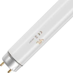 TL Buis 15W/10 UV-A insect T8 - 5900587