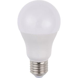 SPL LED lamp - 10W (mat) Voltage: 12-60V DC