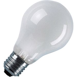 Led Lamp/Lichtbron A60 7W 12-60V E27 830