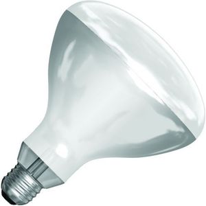 SPL |  IR-lamp R-bollamp/reflectorlamp | Grote fitting E27 | 250W