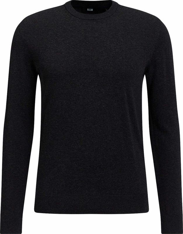 WE Fashion Heren fijngebreide trui van katoenmi