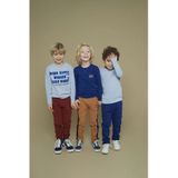 Sturdy - Longsleeve - Blauw - Met Backprint